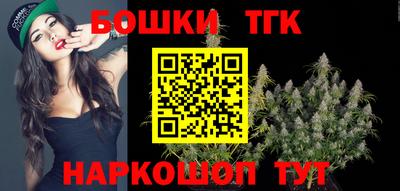 индика Партизанск