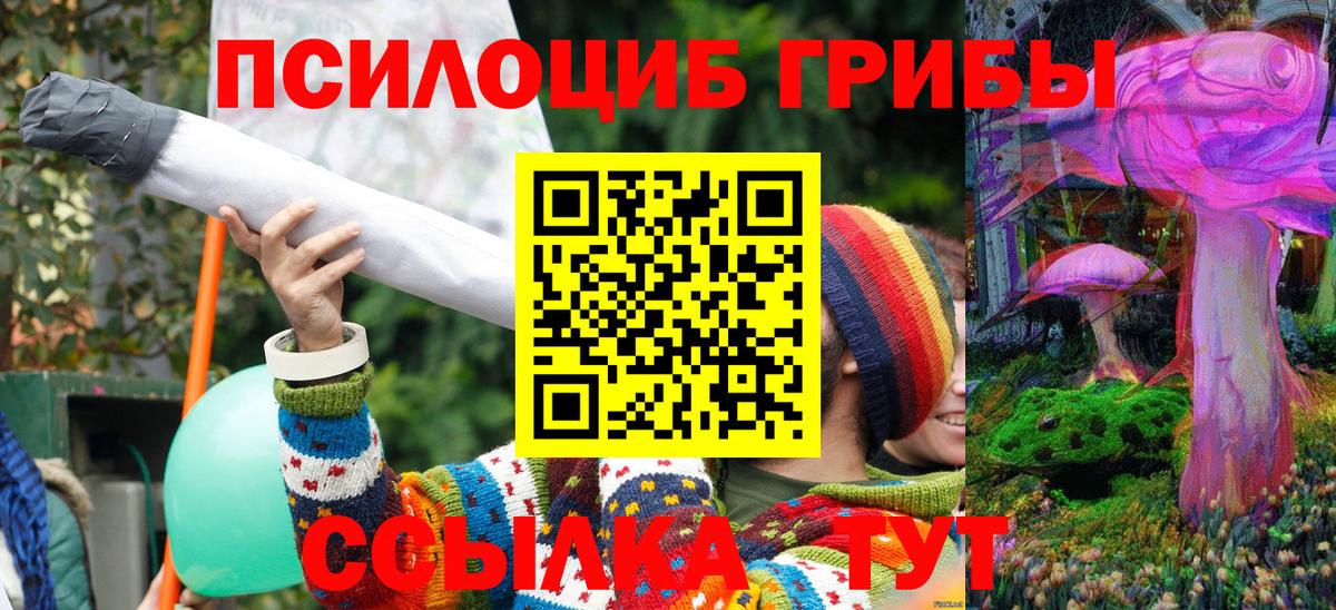 Галлюциногенные грибы ЛСД Георгиевск