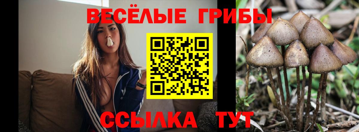Галлюциногенные грибы ЛСД  Псилоцибиновые грибы Psilocybe  Георгиевск  Вход с VPN 