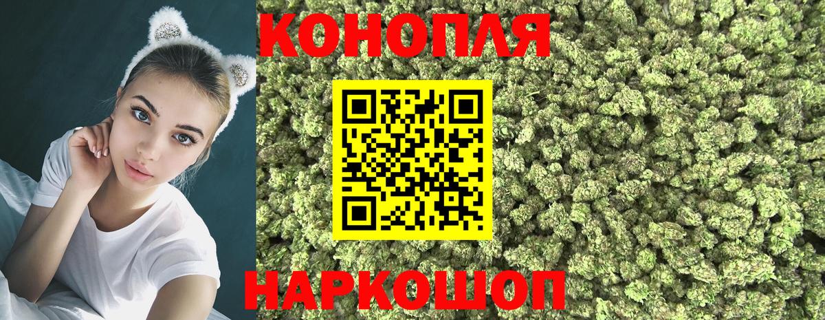 МАРИХУАНА план Георгиевск